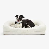 Dogs for Sale