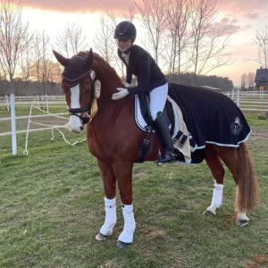 Kopfklarer Eyecatcher, Schleifenpferd***Video, Breed: Hanoverian
