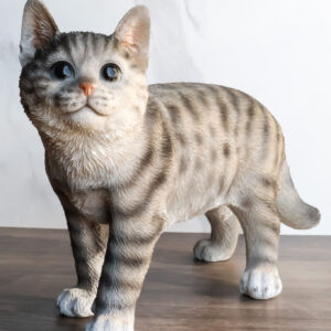 Standing Feline Gray Tabby Cat Kitten