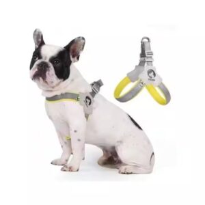 YT Pet Dog Cat Harness, Pet Harness With Leash Group, Adjustable Puppy Harness Comfortable Reflective Easy Control Dog With Leather